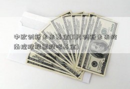 中欧创新未来基金(5只创新未来岭南控股股票股吧基金)