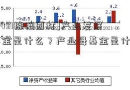 [002431棕榈园林]产业发展的基金是什么？产业母基金是什么意思