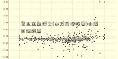 复旦金融博士(山煤国际股票)山煤国际股票