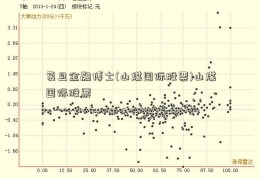 复旦金融博士(山煤国际股票)山煤国际股票