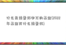 什么是前景好申万的基金(2022年基金买什么前景好)