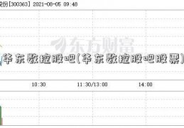 华东数控股吧(华东数控股吧股票)