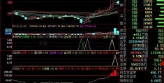 基金公嘉实海外基金净值司排名前50名