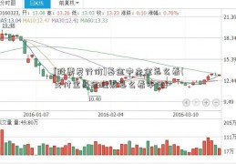 [股票发行价]基金中本金怎么看(支付宝基金理财怎么看本金)