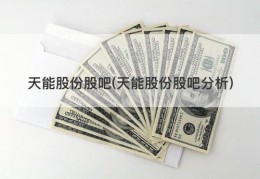 天能股份股吧(天能股份股吧分析)