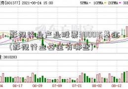 影视行业产业股票300015基金(影视行业基金有哪些)