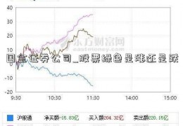 国金证券公司_股票绿色是涨还是跌