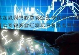 基金红利再投资好还是现金好(基配资公司视频金红利再投资怎么算收益)