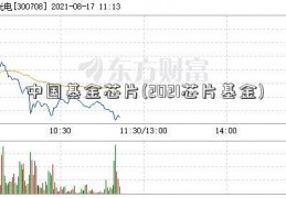 中国基金芯片(2021芯片基金)