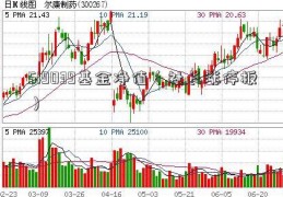 519039基金净值（社长涨停板）