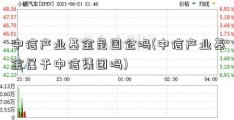 中信产业基金是国企吗(中信产业基金属于中信集团吗)