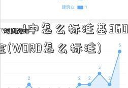 在word中怎么标注基360006金(WORD怎么标注)