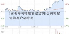 [东北电气股票行情查询]嘉兴股票证券开户哪家好