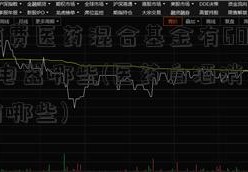 科技消费医药混合基金有600060海信电器哪些(医药白酒消费混合基金有哪些)