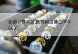 国信证券基金(国投美丽基金000663)