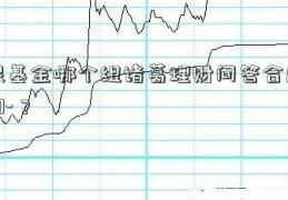 社保基金哪个组诸葛理财问答合厉害2020-？