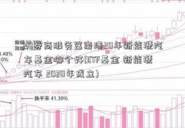 20券商服务器崩溃20年新能源汽车基金哪个好(ETF基金 新能源汽车 2020年成立)