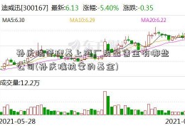 孙庆瑞管理基上海厂房出售金有哪些公司(孙庆瑞执掌的基金)