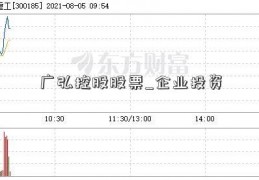 广弘控股股票_企业投资