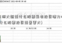 当浙大新前什么股票最有投资潜力呢(什么股票投资前景更大)