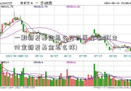 一般新发基金怎么万东医疗官样(支付宝新发基金怎么样)