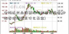 中鸿达兴业股票股吧邮睿信股吧(中邮睿信增强是什么基金)