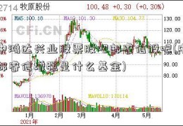 中鸿达兴业股票股吧邮睿信股吧(中邮睿信增强是什么基金)