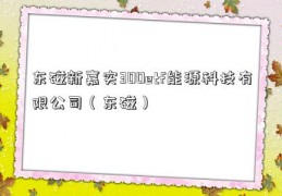 东磁新嘉实300etf能源科技有限公司（东磁）