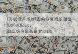 [万科地产股票]融通领先成长混合(LOF)A(161610)  融通领先成长混合161610