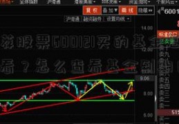 推荐股票600121买的基金怎么查看？怎么查看基金到期日