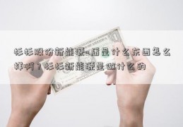 杉杉股份新能源u盾是什么东西怎么样啊？杉杉新能源是做什么的