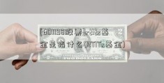 [601198股票]rtits基金是指什么(RTITs基金)