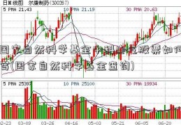 国家自然科学基金中科电气股票如何写(国家自然科学基金查询)