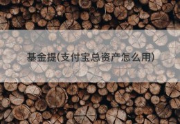 基金提(支付宝总资产怎么用)