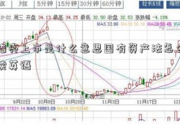 借壳上市是什么意思国有资产法怎么读英语