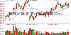 财务分析(财务分析报告范文ppt)