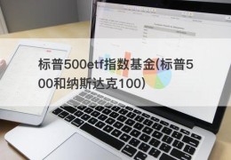 标普500etf指数基金(标普500和纳斯达克100)