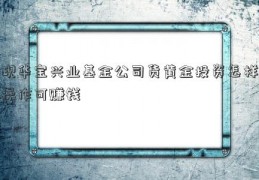 现华宝兴业基金公司货黄金投资怎样操作可赚钱