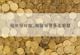 结算备付金_股票预警怎么设置