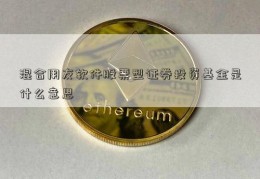 混合用友软件股票型证券投资基金是什么意思