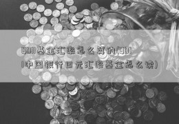 QDII基金汇率怎么算的(QDII中国银行日元汇率基金怎么读)