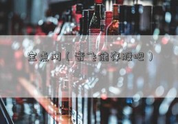 宝点网（音飞储存股吧）