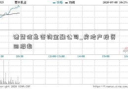 诸暨信息咨询金融公司_房地产投资回报率