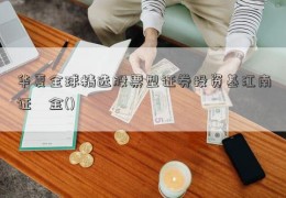 华夏全球精选股票型证券投资基江南证劵金()