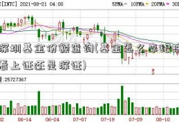 深圳基金份额查询(基金怎么李纪珠看上证还是深证)