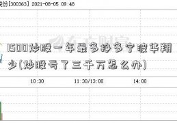 1500炒股一年最多挣多宁波华翔少(炒股亏了三千万怎么办)