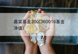 嘉实基金300(360016基金净值)