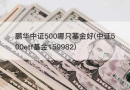 鹏华中证500哪只基金好(中证500etf基金159982)