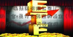 [深圳华强集团有限公司]广发双擎升级混合c是什么类型的基金（广发双擎升级混合a天天基金网）