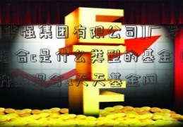 [深圳华强集团有限公司]广发双擎升级混合c是什么类型的基金（广发双擎升级混合a天天基金网）